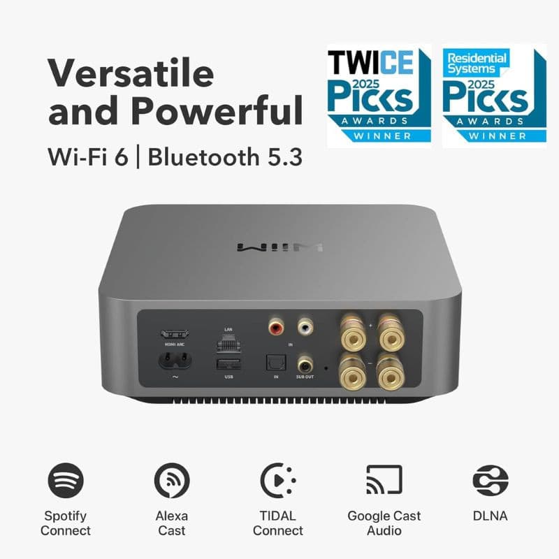 WiiM Amp Pro - Amplificador de sonido Plata, vista trasera con los conectores y puertos
