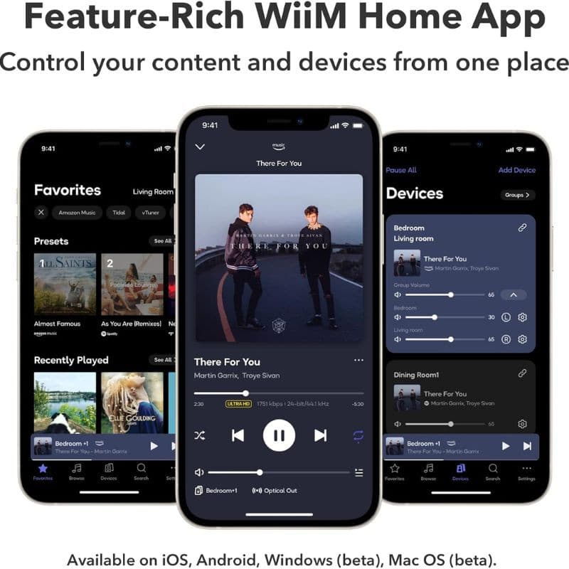 WiiM Amp Pro - Amplificador de sonido Plata, vista de la app de uso