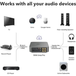 WiiM Amp Pro - Amplificador de sonido Plata, compatibilidad de uso con otros equipos de audio