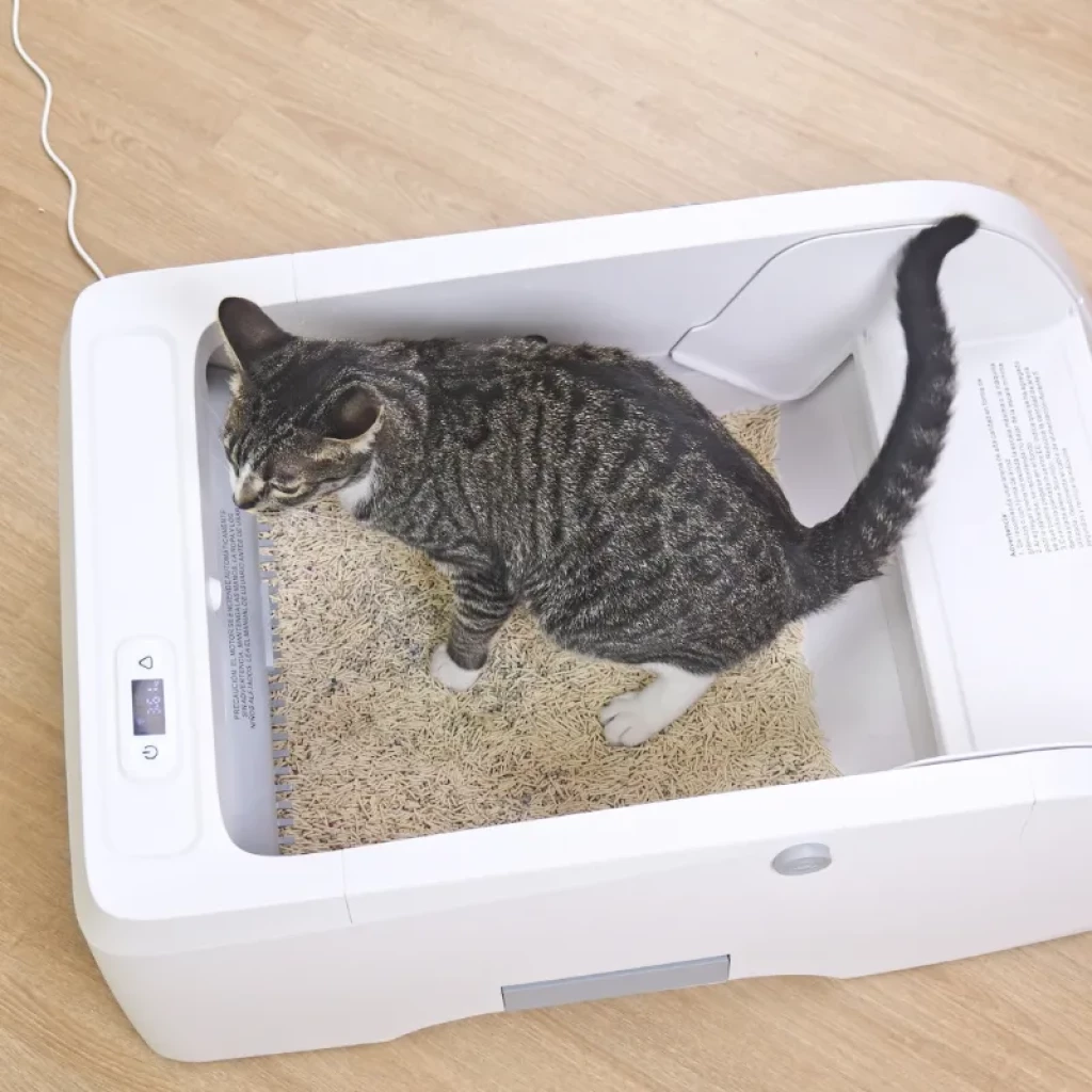 Vista a 45 graus do Orbitaler Yupiter AstroClean 5500 Sand Pool Smart Viewer com imagem de gato e smartphone com aplicação compatível - Item6