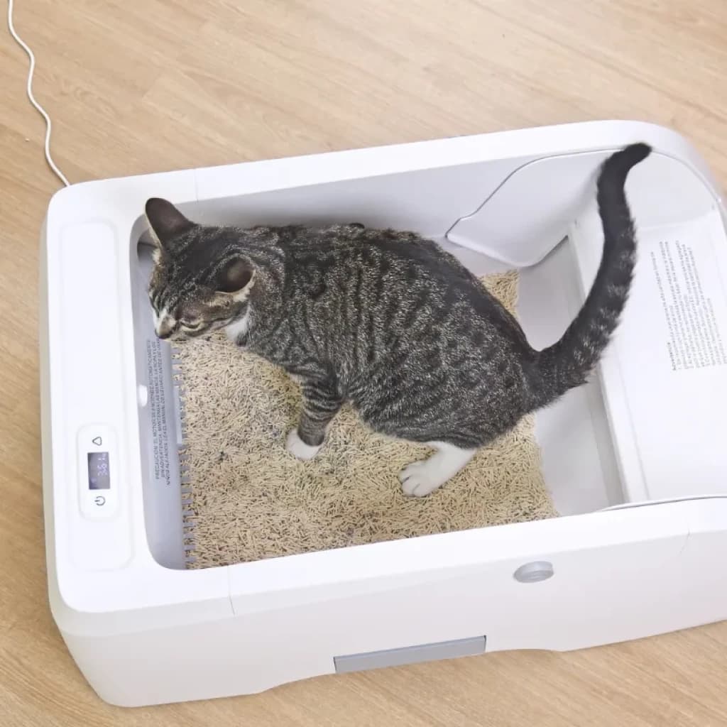 Imagen de gato dentro de la caja de arena Orbitaler Yupiter AstroClean 5500 Sand Pool Smart Viewer vista desde arriba