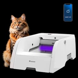 Vista a 45 grados del Orbitaler Yupiter AstroClean 5500 Sand Pool Smart Viewer con imagen de gato y smartphone con aplicación compatible