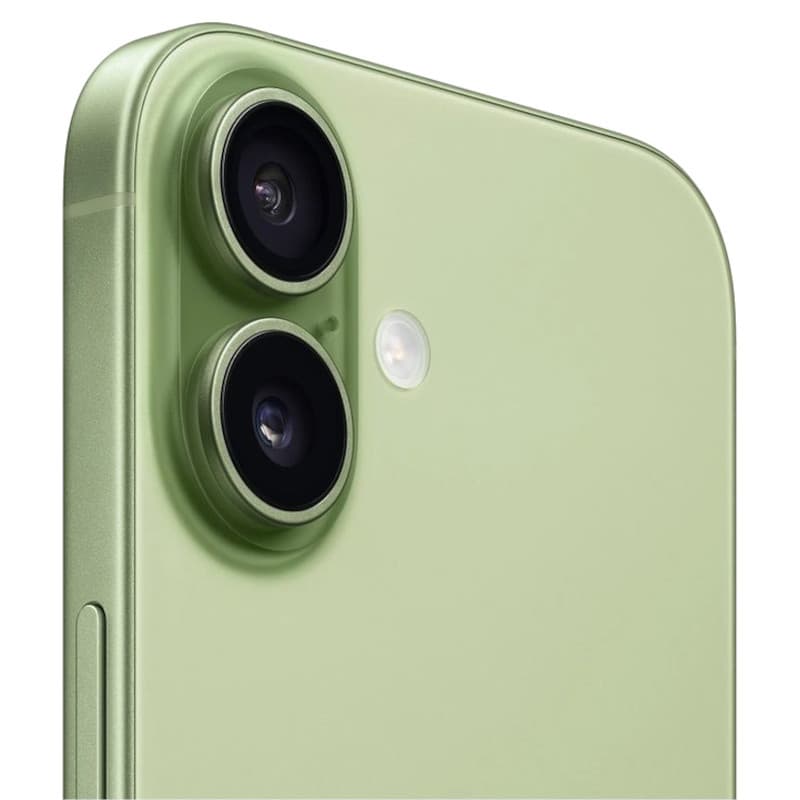 iPhone 17 256 Go Vert sauge - Version internationale, dos en aluminium vert mat, module photo double grand angle et ultra grand angle avec flash LED