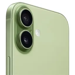 iPhone 17 256 Go Vert sauge - Version internationale, dos en aluminium vert mat, module photo double grand angle et ultra grand angle avec flash LED
