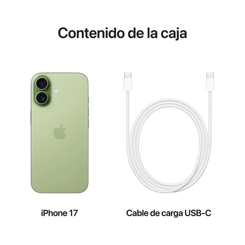 iPhone 17 256 Go Vert sauge avec double appareil photo arrière, dos en verre, cadre arrondi, câble de charge USB C inclus, version internationale