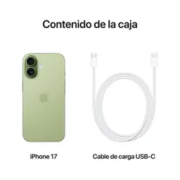 iPhone 17 256 Go Vert sauge avec double appareil photo arrière, dos en verre, cadre arrondi, câble de charge USB C inclus, version internationale
