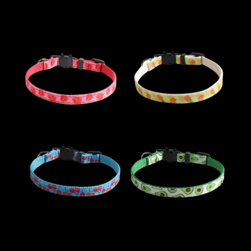 2 colliers CATLINK rouges et bleus à motifs fruits, boucles noires, réglables et légers pour mangeoires et abreuvoirs, repérage rapide et sûr