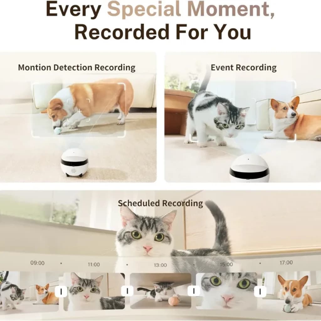 Enabot ROLA Mini 2K: robô com câmara a preto e branco com deteção de movimento, gravação de eventos e programada, ideal para vigiar animais de estimação em casa