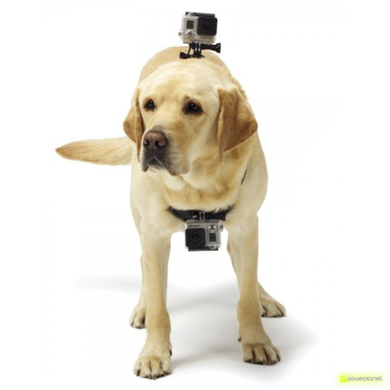 comprar barato harness camera, harness camera para colocar o seu animal, harness gopro, harness sj4000, harness para colocar o seu animal - Item