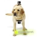 accesorio para perros y cámara, accesorio cámara perros, accesorios cámara mascotas, accesorio cámara arnés para mascotas, arnés para mascotas, arnés fetch para mascotas - Ítem