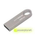 Kingston Technology DataTraveler SE9 32GB - Item