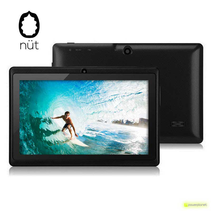 Nüt Q88 A33