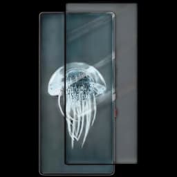 Película de vidro temperado Nubia Neo 5 5G  Full Screen 3D