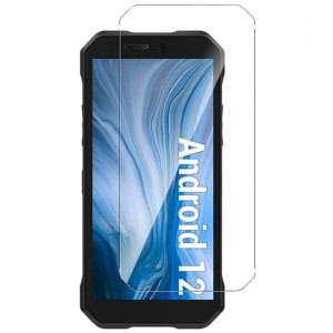 Protecteur d'écran en verre trempé Doogee S61 / S61 Pro