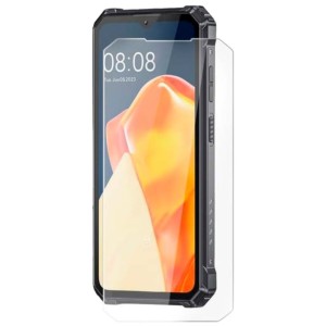 Protecteur d'écran en verre trempé pour Oukitel WP28