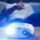 Projecteur Vankyo Leisure 520W - Ítem14