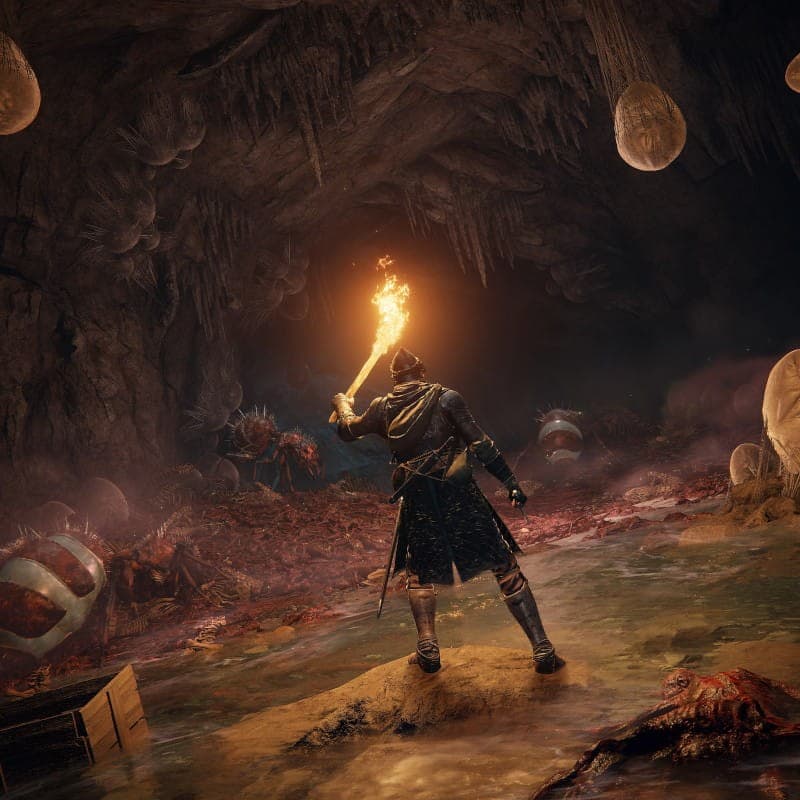 Jogo Sony PS5 Elden Ring - Açâo