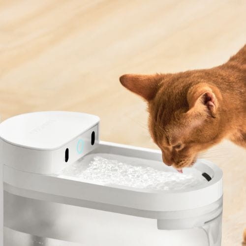 Bebedouro automático para animais de estimação sem fios Catlink Pure 3 Branco - Item3