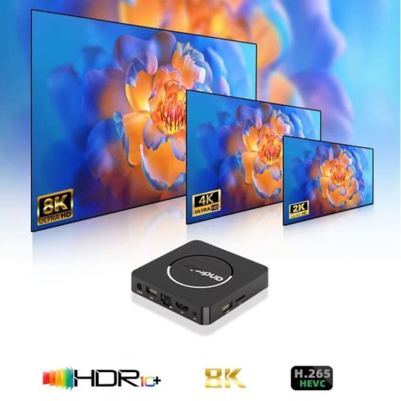 HD10 de Q1 ATV H313 8K 2 Go/16 Go Android 13 Noir - Android TV