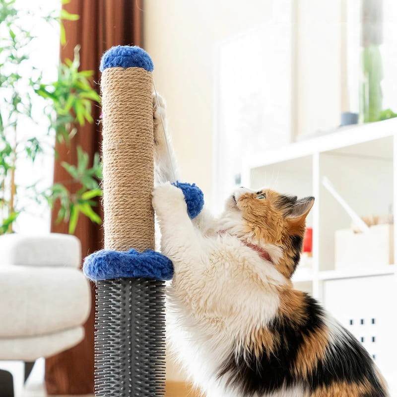 Griffoir Masseur avec Balle pour Chats Miausage InnovaGoods - Ítem4