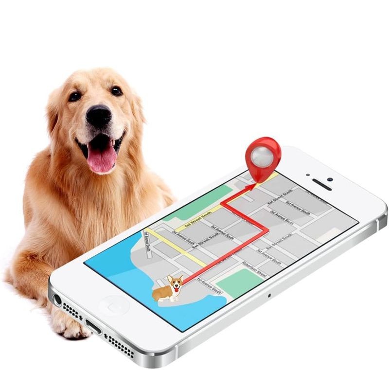 Traceur GPS TKSTAR TK919 - Localisateur GPS - Ítem3