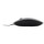 Rato Tacens Anima AM2 - Item4