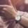 Reloj Miyota Xiaomi Mi Timerolls Nut Series Quartz - Ítem7