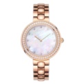 Reloj Xiaomi TwentySeventeen Crystal Quartz Wrist Dorado - Ítem