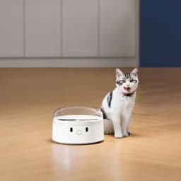 Catlink RFID Pet Feeder White avec un chat