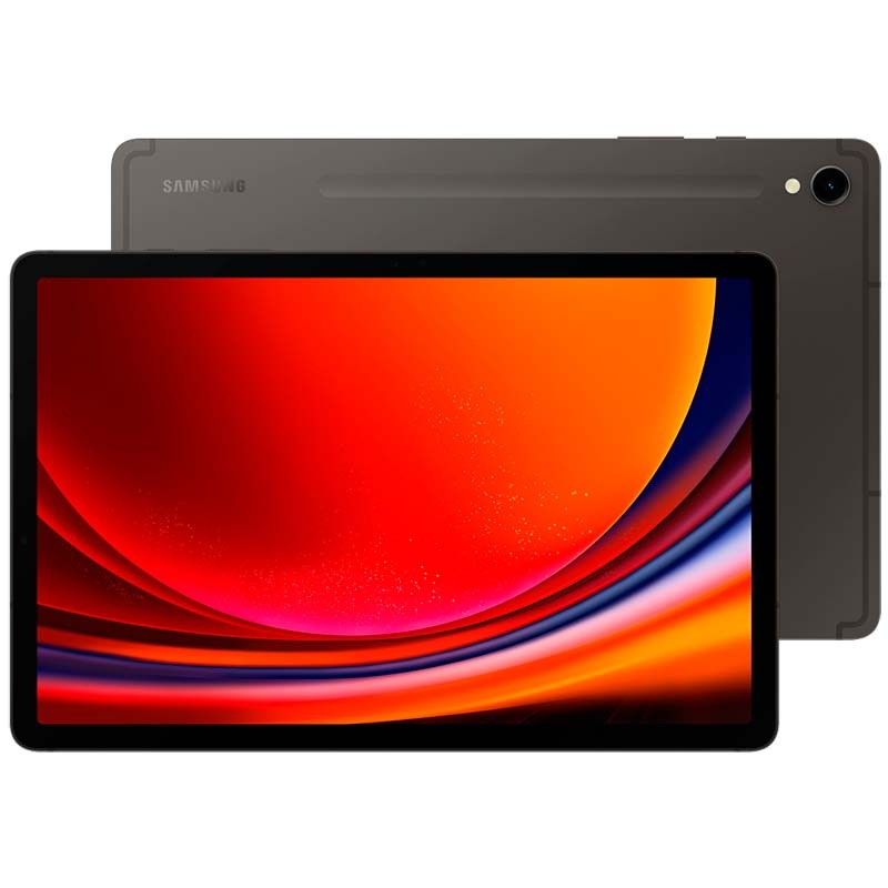 Samsung Galaxy Tab S9 12GB/256GB Wi-Fi Grafito - Ítem