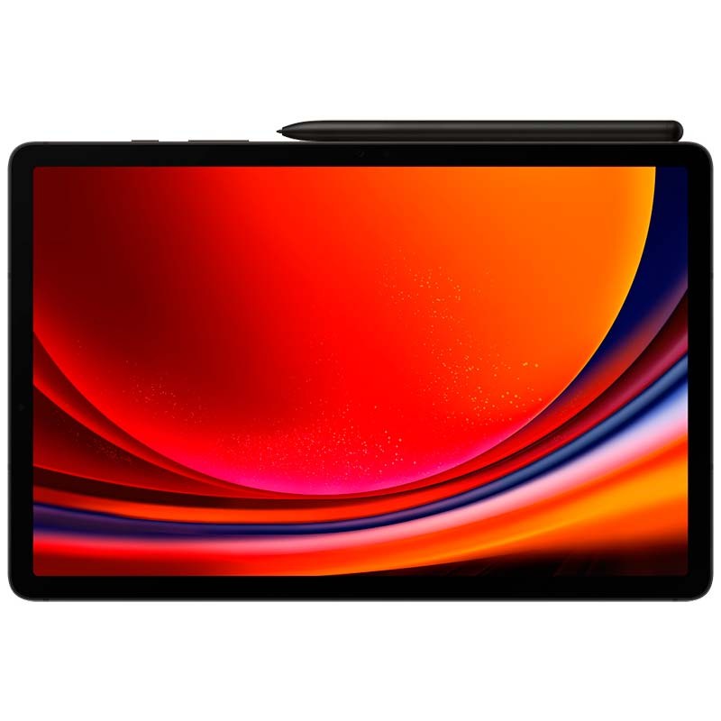 Samsung Galaxy Tab S9 12GB/256GB Wi-Fi Grafito - Ítem2