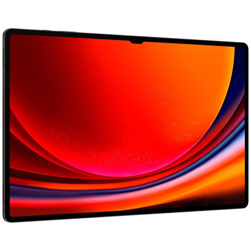 Samsung Galaxy Tab S9 Ultra 12GB/256GB 5G Grafito - Ítem3