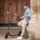 Segway Ninebot KickScooter D28E - Electric Scooter - Item4