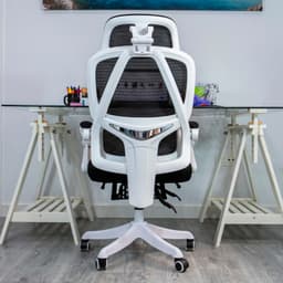 vista trasera de la Silla de Oficina Powerbasics Confort T20 Negro