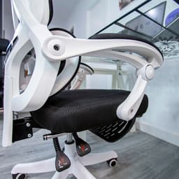 reposabrazos de la Silla de Oficina Powerbasics Confort T20 Negro