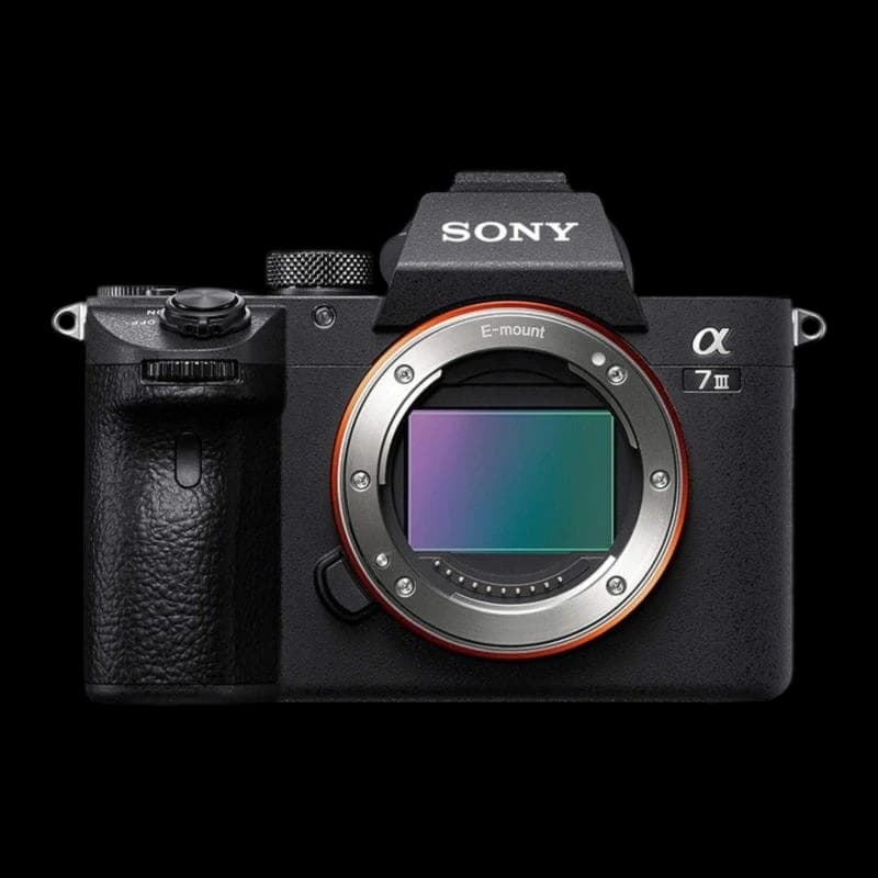 Sony Alpha 7 III MILC Body 24.2 MP 35 mm Noir- Reflex Camera