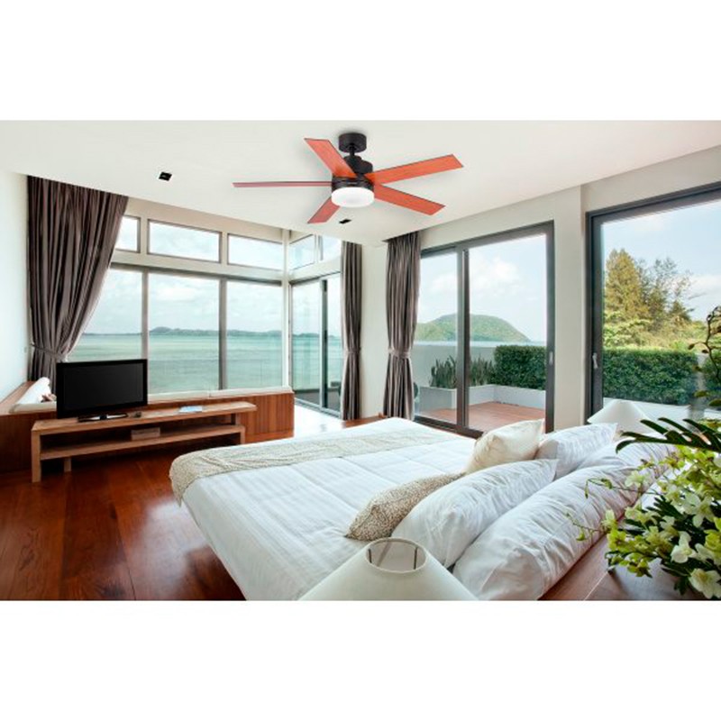 Ventilateur de plafond Blaupunkt BP2011 - Ítem1