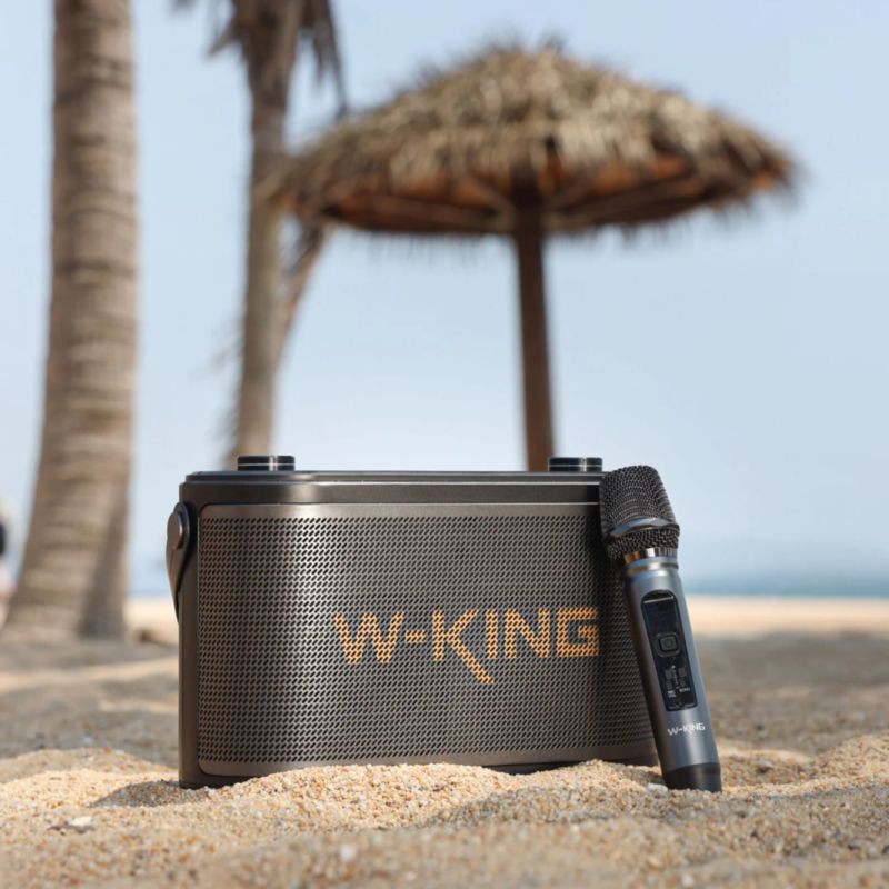 W-KING H10 S 80W Bluetooth 5.0 Noir - Haut-parleur sans fil - Ítem5
