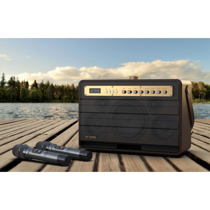 W-KING K6L 120W Bluetooth 5.0 Marrón - Altavoz inalámbrico - Ítem4