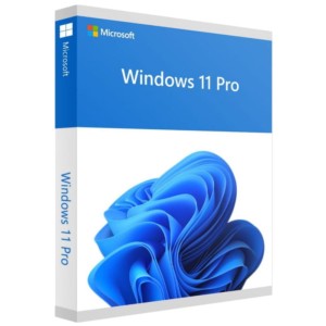 Microsoft Windows 11 Pro 1 License