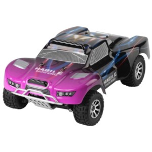 truggy rc car