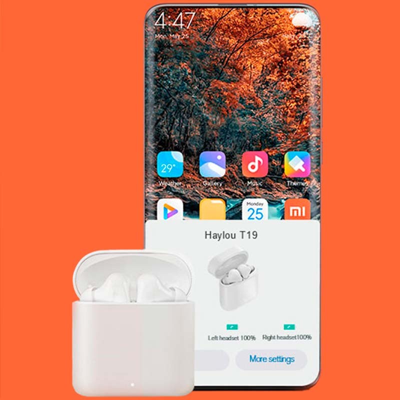 haylou t19 case