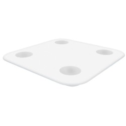 zepp mi scale 2