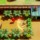 Zelda Link's Awakening Nintendo Switch Game - Item1