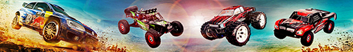categoría de coches RC